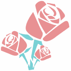 Hair Extensions By Madalina Logo