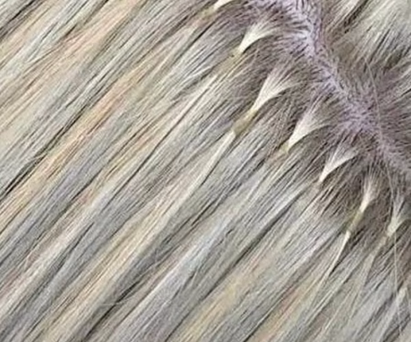 WhatsApp Image 2025-06-06 at 18.41.16 Keratin Bond Extensions